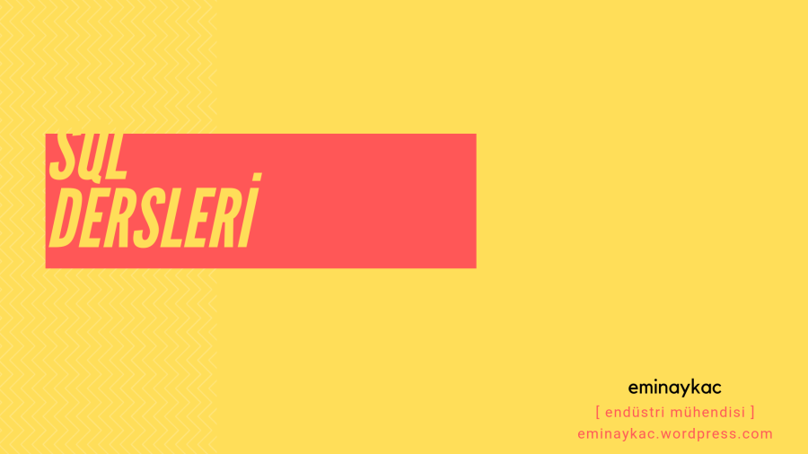 SQL DERSLERİ (2)